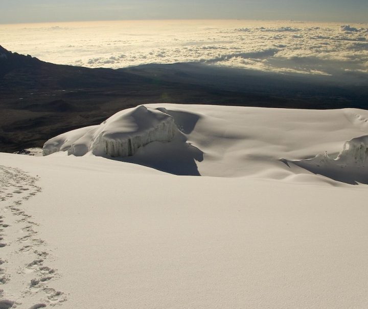 Northern Ice Field Mt Kilimanjaro