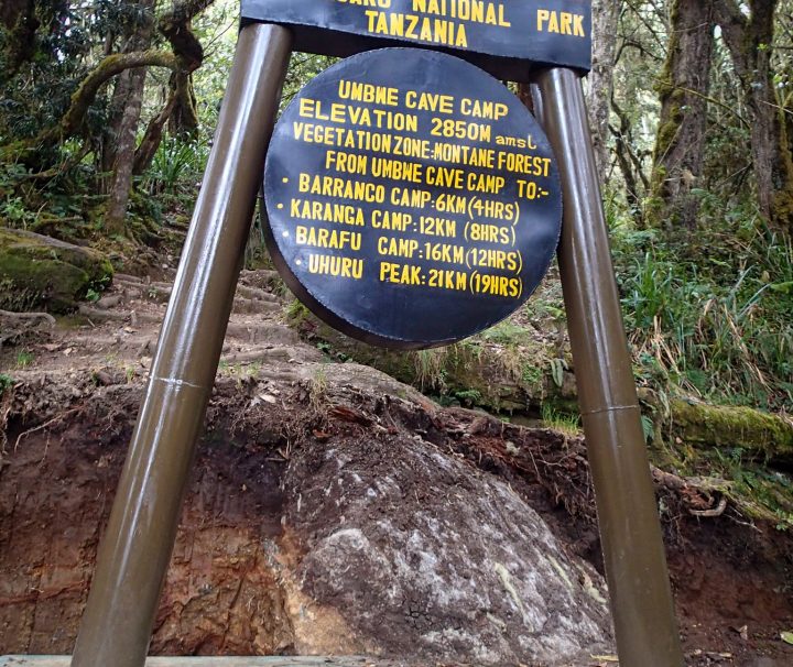 Umbwe Caves Camp Kilimanjaro